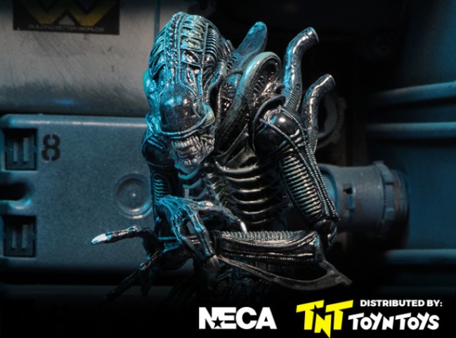 Ultimate Aliens Warrior (1986) Blue