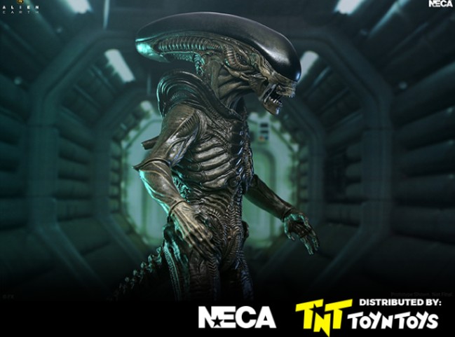 Ultimate Xenomorph