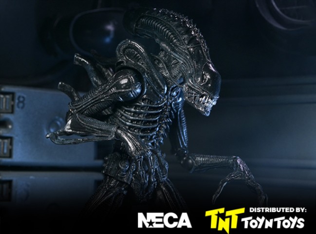 Ultimate Warrior Xenomorph (Black) 40th Anniversary