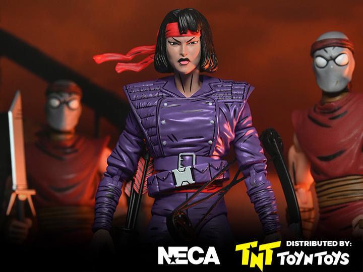 Karai Mercenary (Mirage Comics)