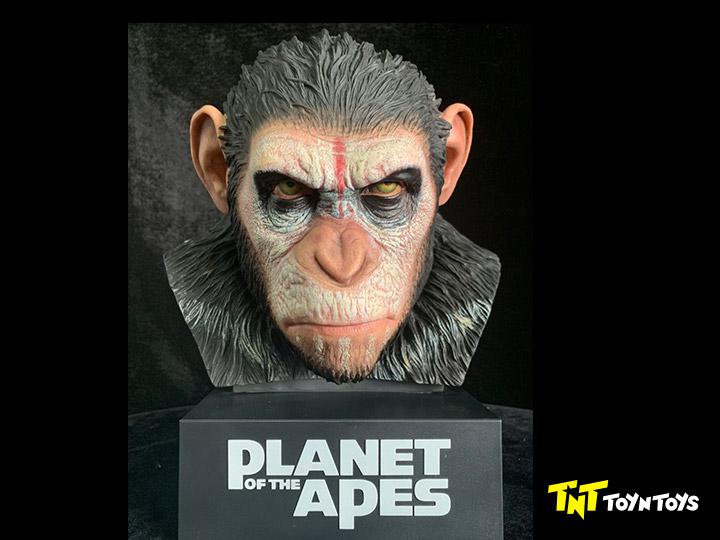 Planet of the apes Caesar's Warrior